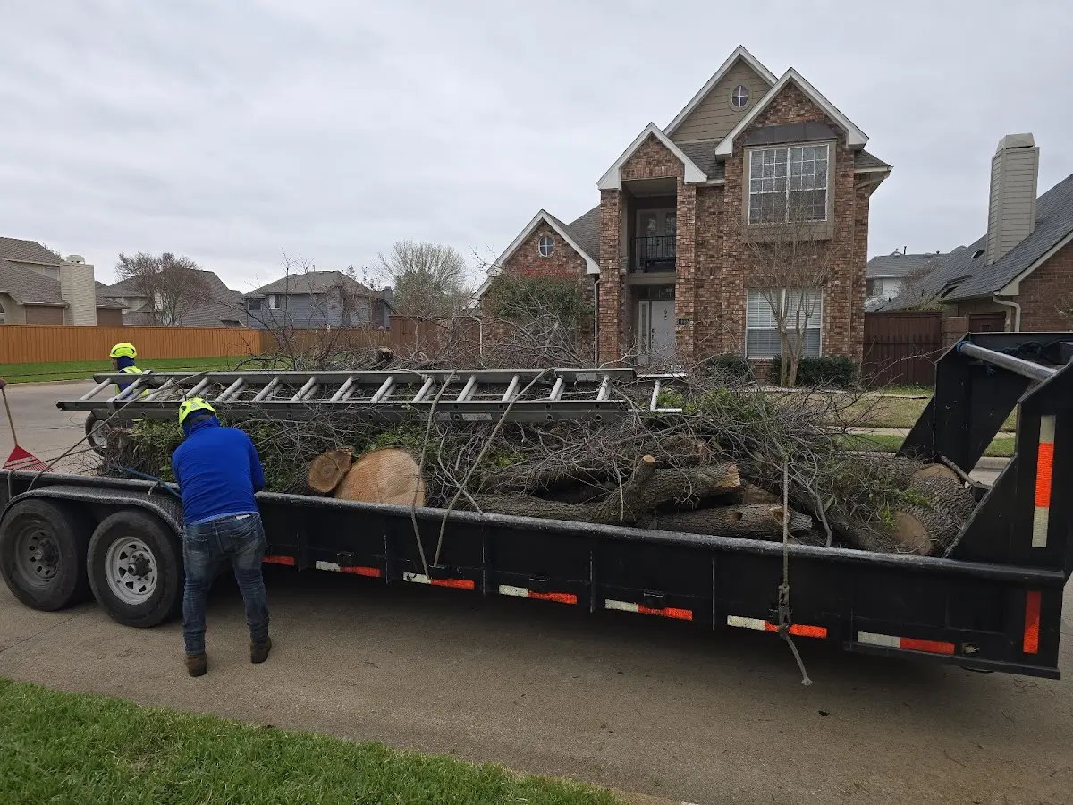 Expert Lot Clearing with proper safety equipment in Empire